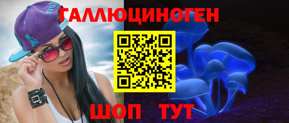 Ейск  Псилоцибиновые грибы GOLDEN TEACHER  Вход с VPN 